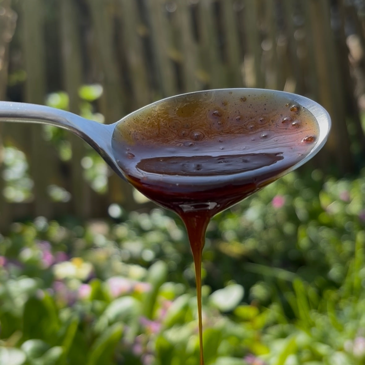 Raw Date Syrup: What It Is, Where It Comes From, and Why It’s Different