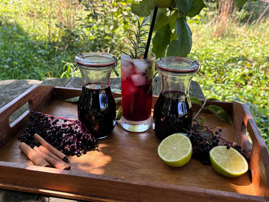 Easy Date Elderberry Syrup for Immune Support - dattelmond KLG
