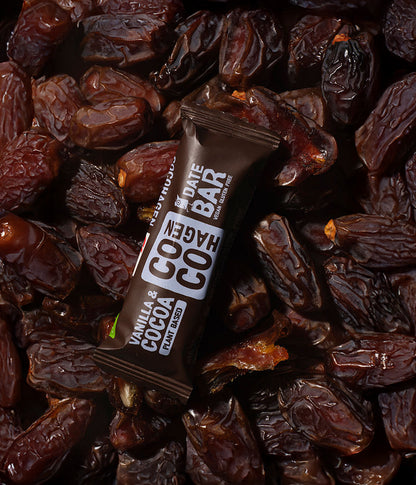 Bio Dattelriegel Vanille