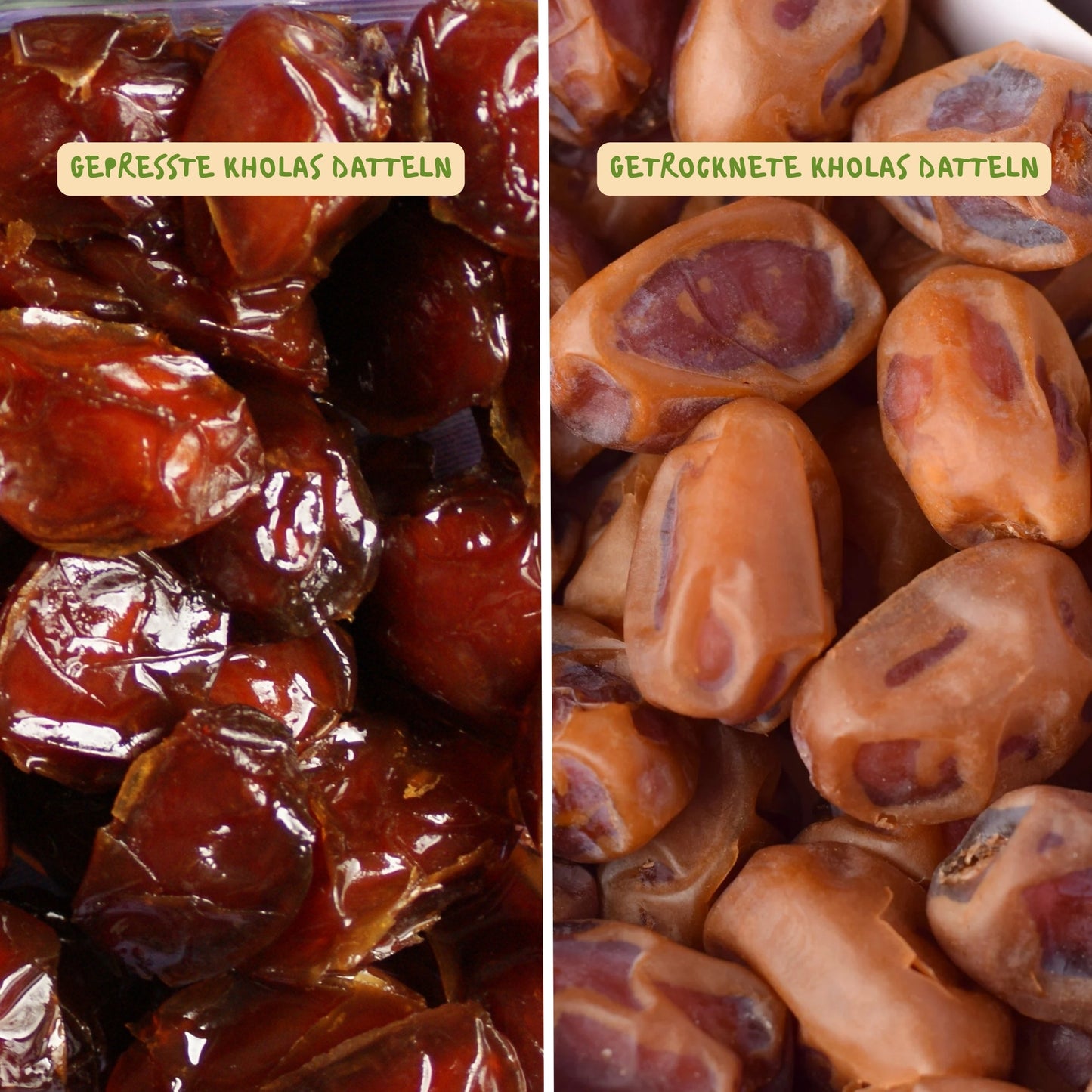 Premium Pressed Kholas Dates
